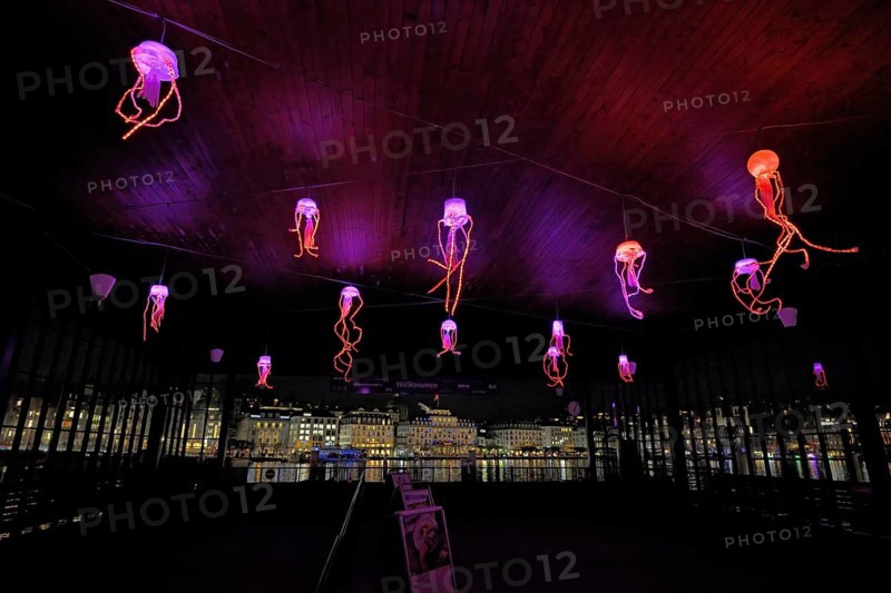 Coloured illuminated octopuses on the ceiling of the boat station, Lilu, Light Festival 2025, Lucerne, Canton Lucerne, Switzerland, Europe