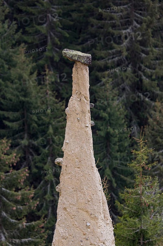Earth pyramids located in Platten in the municipality of Percha, near Bruneck in South Tyrol, Italy, Europe