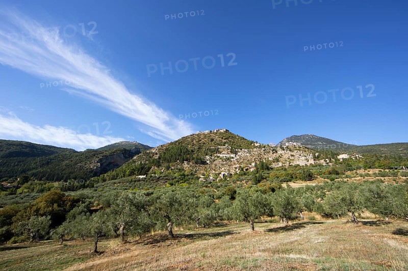 Byzantine ruined city of Mystras or Mistra on the Taygetos Mountains, UNESCO World Heritage Site, olive groves in front. Laconia, Peloponnese, Greece, Europe