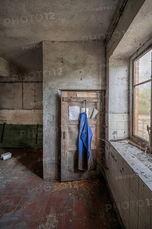 Milk room with rubber apron in the abandoned cowshed of a former GDR agricultural co-operative, Mecklenburg-Western Pomerania, Germany, Europe