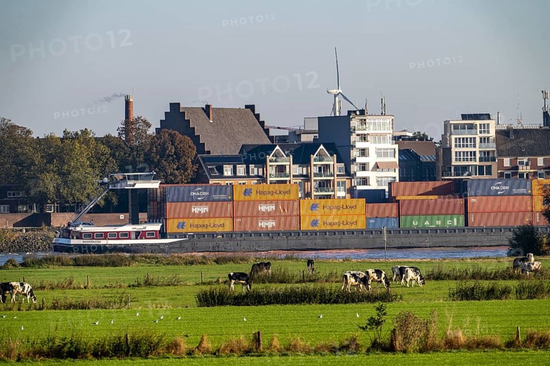 Skyline of Emmerich, on the Lower Rhine, pastures on the left bank of the Rhine, cows, container cargo ship, North Rhine-Westphalia, Germany, Europe