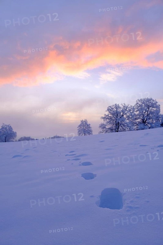 Tracks in the snow, sunrise with hoarfrost in winter, at the Schlossberg, Eurasburg, Loisachtal, Upper Bavaria, Bavaria, Germany, Europe