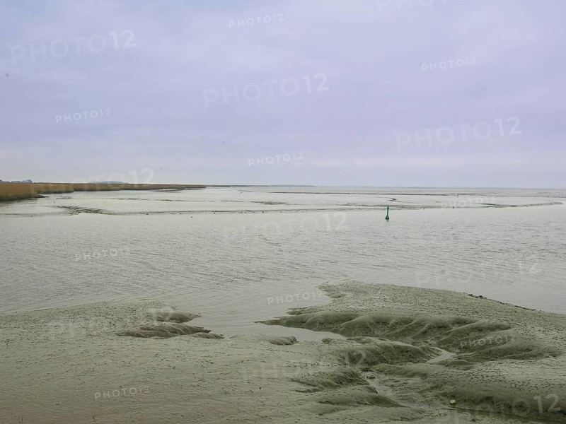 Low tide, mudflats, Dollart, Nieuwe Statenzijl, Netherlands