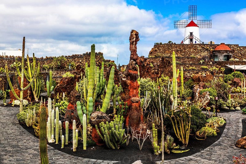 2016, Guatiza, Lanzarote, Jardin de Cactus by Cesar Manrique, ESP, Spain, Canary Islands, Canary Islands, Atlantic Ocean, Lanzarote, biosphere reserve, volcano, volcanism, volcanic island, island, recording date, Europe