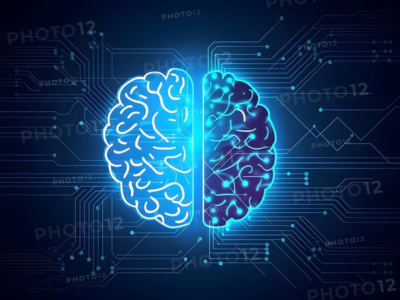 Abstract brain split into two halves, one side athletic motion, the other side neural network, vibrant colors, symbol for artificial intelligence in sport, AI generated