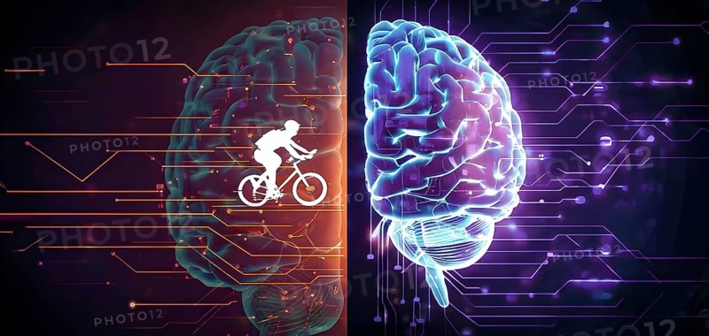 Abstract brain split into two halves, one side athletic motion, the other side neural network, vibrant colors, symbol for artificial intelligence in sport, AI generated
