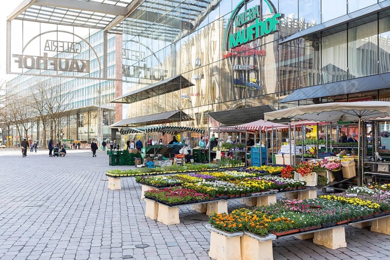 Market stalls with flowers in front of the modern glass façade of the Kaufhof Gallery on the market square in Chemnitz, Saxony, Germany, Europe