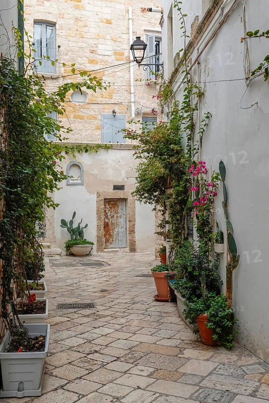 Picturesque Mediterranean alley with plants and old buildings in a quiet atmosphere, Polignano a Mare, Apulia