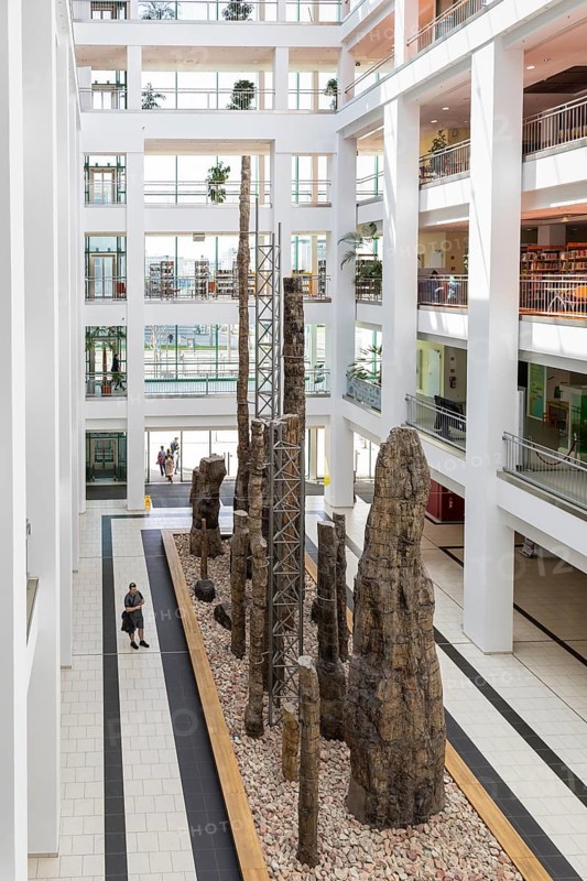 Exhibition Steinerer Wald in the foyer of the cultural department stores' DAStietz, Chemnitz, Saxony, Germany, Europe