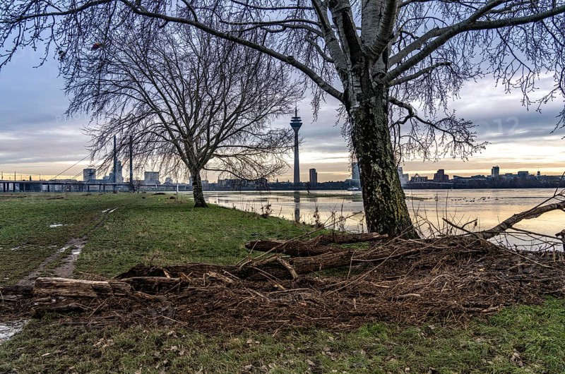 View of the Rhine knee bridge over the Rhine near Düsseldorf, Media Harbour, from the Rhine meadows in Düsseldorf-Oberkassel, Rhine Tower, North Rhine-Westphalia, Germany, Europe