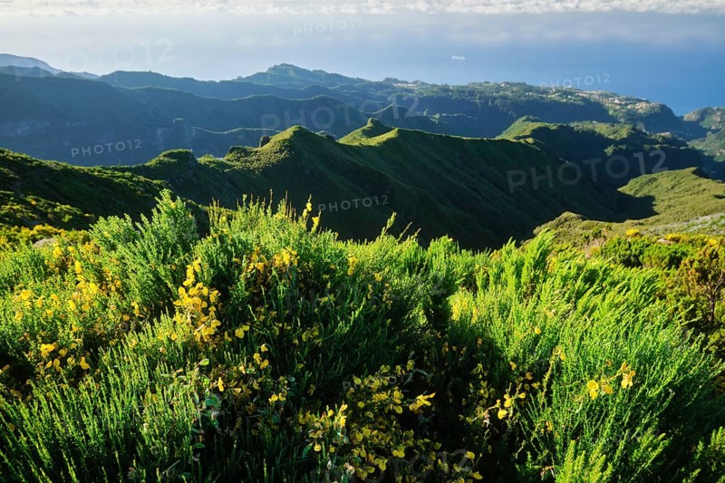 View from hike trail path to Pico Ruivo, Madeira