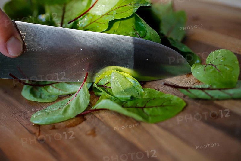 Southern German cuisine, preparation of sorrel soup with char, blood sorrel (Rumex sanguineus), cutting sorrel, knife, cutting board, wooden board, healthy, savoury, salty, man's hand, traditional cuisine, food photography, studio, Germany, Europe