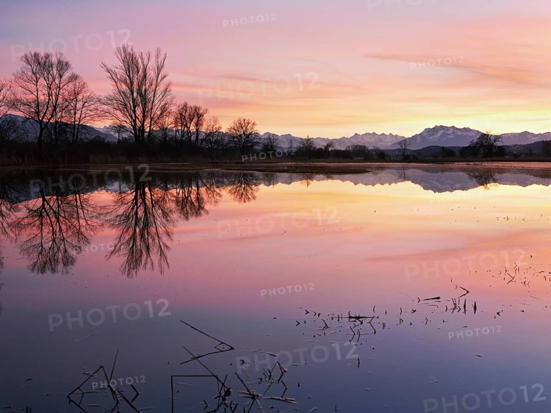 Pilatus reflected in the flooded nature reserve in the evening light, Reussspitz, Hünenberg, Canton Zug, Switzerland, Europe