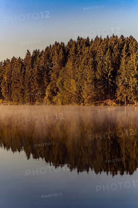 Autumnal morning atmosphere at Schmutter Weiher with fog near Lechbruck, Halblech and Roßhaupten in Allgäu, Bavaria, Germany, Europe