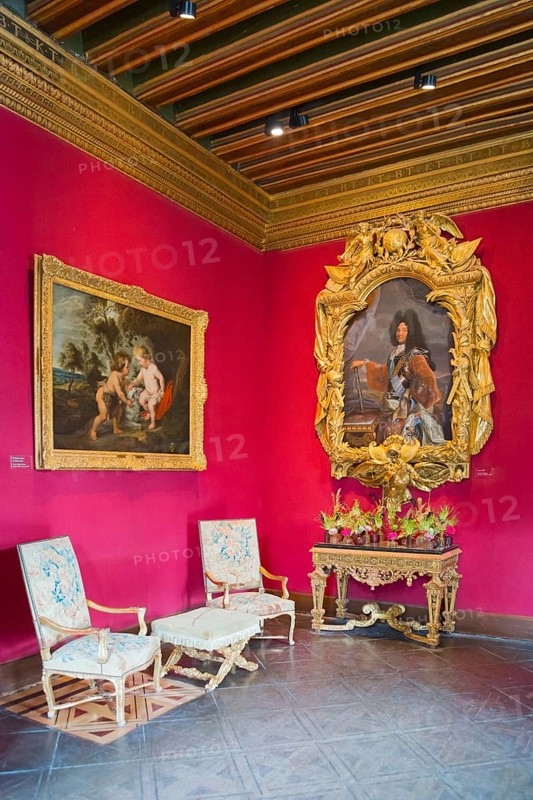 Baroque room with elaborate portraits and gold-framed paintings on red walls, Louis XIV Salon, Chenonceau Castle, Château de Chenonceau, moated castle, Chenonceaux, Indre-et-Loire, Centre-Val de Loire, France, Europe