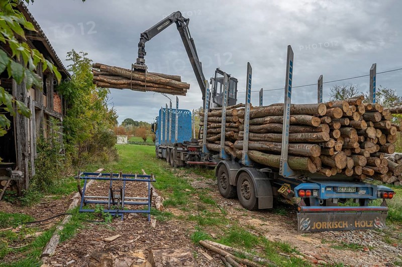 Unloading logs from a log transporter, Othenstorf Estate, Mecklenburg-Western Pomerania, Germany, Europe