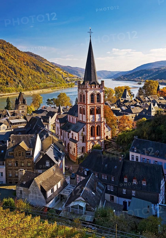Autumn view of Bacharach on the Rhine with St. Peter's Church, UNESCO World Heritage Upper Middle Rhine Valley, Rhineland-Palatinate, Germany, Europe