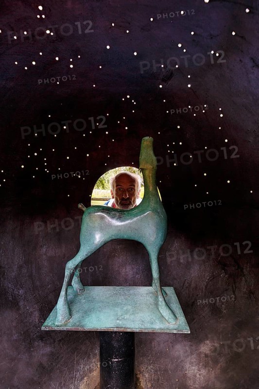 Sculpture of a thoroughbred horse under a starry sky, Irish National Stud, The Irish National Stud & Gardens, Tully, Kildare, Ireland, Europe