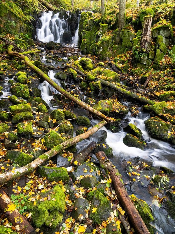 Teufelsmühle waterfall on the hill stream the Schwartzbach, surrounded by autumn colour, in the Rhön UNESCO Biosphere nature reserve, county Bavaria, Germany, Europe