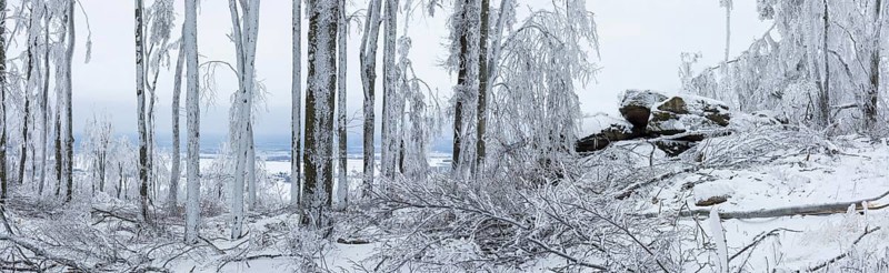 Winter landscape on the summit of the Czorneboh, trees thickly laden with snow and hoarfrost, fallen branches due to snowfall, Lusatian Mountains, Upper Lusatia, Saxony, Germany, Europe