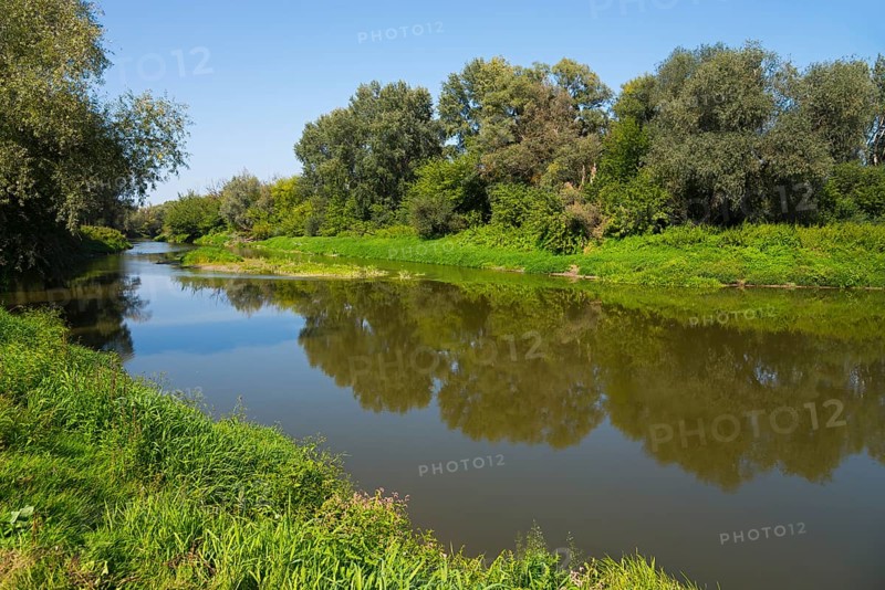 Calm river surrounded by green vegetation and trees reflected in the water, bow River, border with Ukraine, Bereznica, Bereznica, Dorohusk, Horodlo, Horodlo, Hrubieszowski Voivodeship, Lublin Voivodeship, Poland, Europe