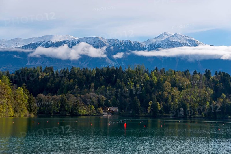 Lake with wooded shores in the foreground, snow-covered mountains in the background, Lake Bled, Lake Veldes, Blejsko jezero, Bled, Veldes, Feldes, Upper Carniola region, Gorenjska, Slovenia, Balkans, Europe