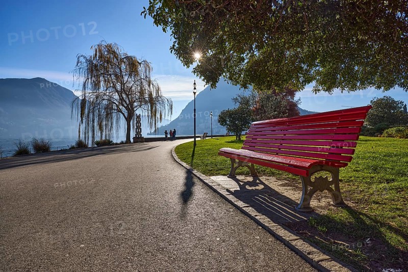 Babylon willow (Salix babylonica), lakeside promenade, lake, trees, hill, haze, lantern, bench, lawn, backlight, frog perspective, blue sky with veil clouds, Lake Lugano, Belvedere Garden, Lugano, Lugano district, Ticino, Switzerland, Europe