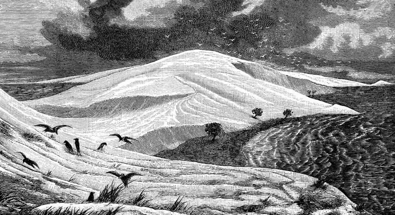 Dune landscape at the Baltic Sea, Curonian Spit and Curonian Lagoon, birds, waves, travel, Lithuania, historical illustration 1885, Europe