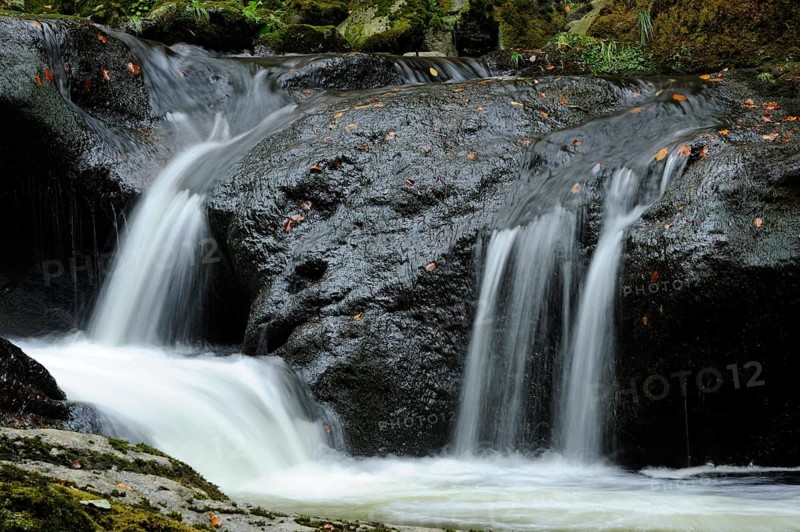 Close-up of a waterfall over black rocks with autumn leaves, Buchberger Leite, Bavarian Forest National Park