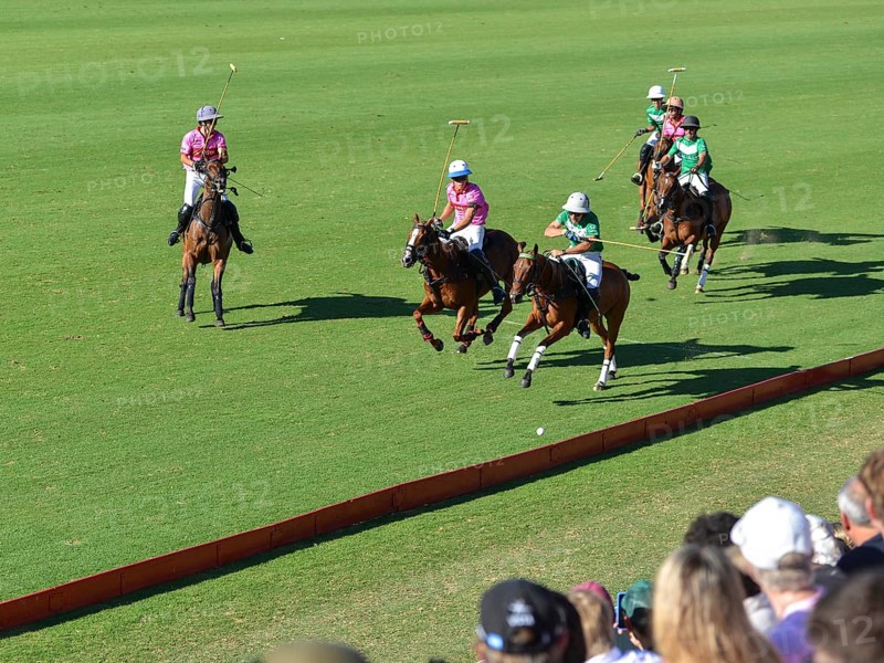 Scene from the 131st Argentine Open Polo Championship (Spanish: Campeonato Argentino Abierto de Polo), the most important international polo tournament, match between la Natividad (green) and Indios Chapaleufú Vista Energy (pink), on 23 November 2024, Palermo, Buenos Aires, Argentina, South America