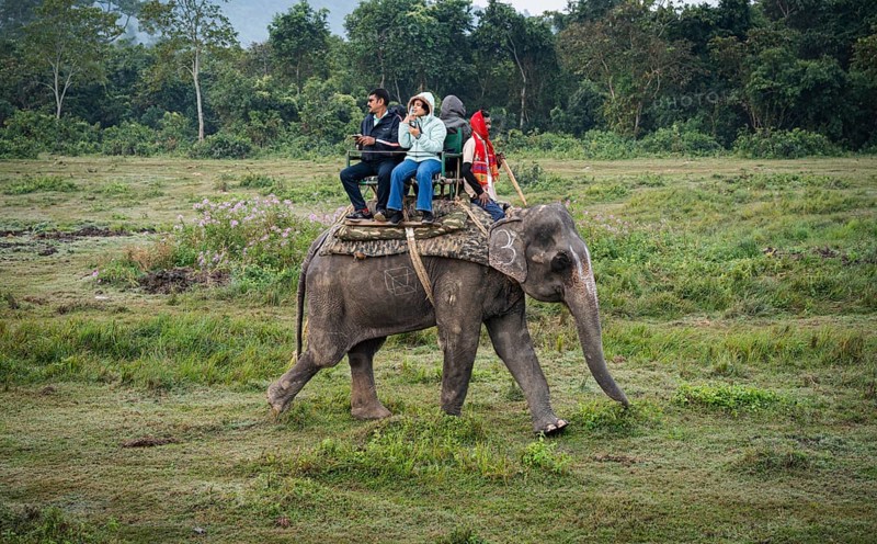 Tourists ride elephants during a safari at Kaziranga National Park on December 5, 2024 in Kaziranga, India. Kaziranga National Park, in Assam is a UNESCO World Heritage Site renowned for its biodiversity
