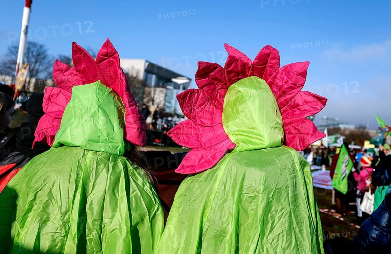 Thousands of demonstrators at the Wir haben es satt! demonstration to demand a commitment and support from the future German government in favour of a more rural and ecological agriculture, away from the agricultural industry. The picture shows demonstrators in chicken costumes, demonstrating in favour of animal welfare and an end to animal suffering, Berlin, Berlin, Germany, Europe