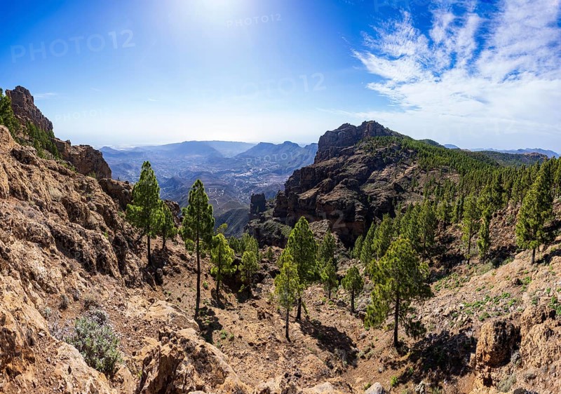 View into the valley of the Caldera de Tirajana, pine forest around the summit of El Campanario, Gran Canaria, Canary Islands, Spain, Europe