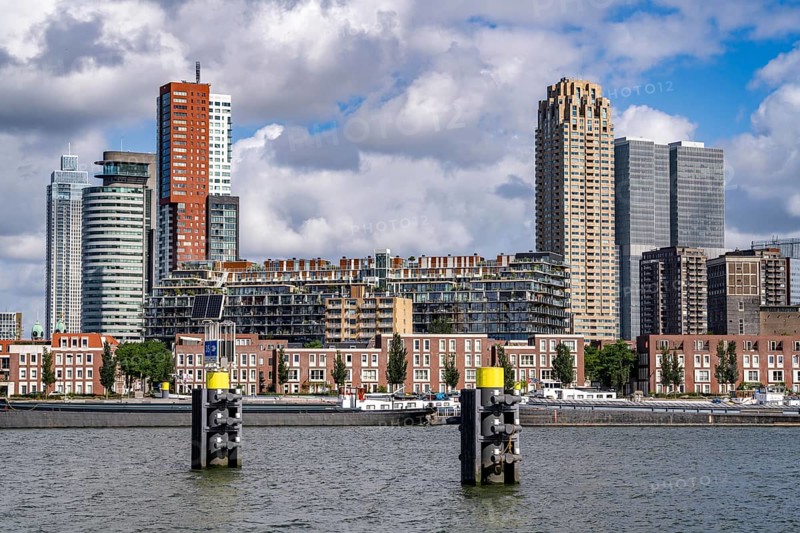 Harbour basin of the Maashaven, inland waterway port, jetties, residential buildings in the Kop van Zuid and Katendrecht district, almost all buildings have been built or rebuilt in recent years, popular residential area, structural change, Rotterdam, Netherlands