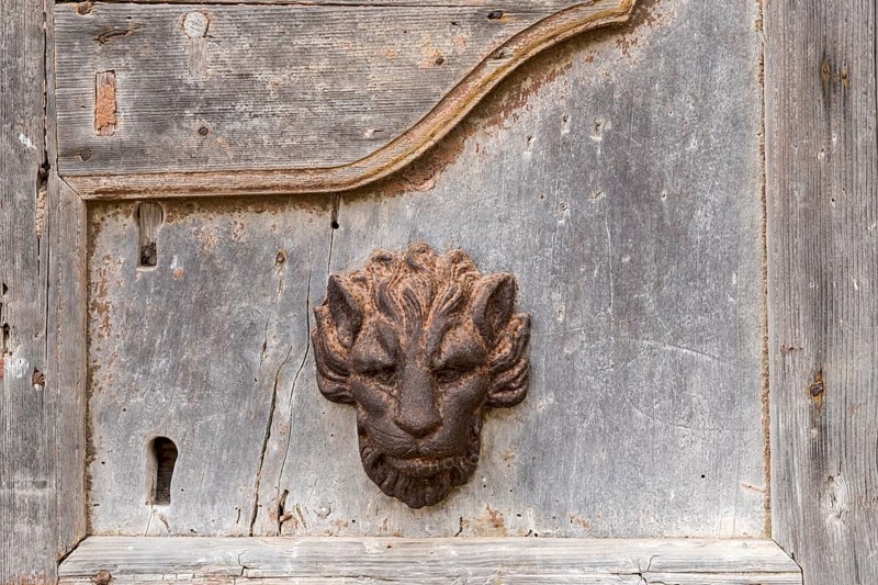 Weathered wooden door with a metal lion's head as decoration, rustic and antique atmosphere, Galatina, Apulia, Italy, Europe
