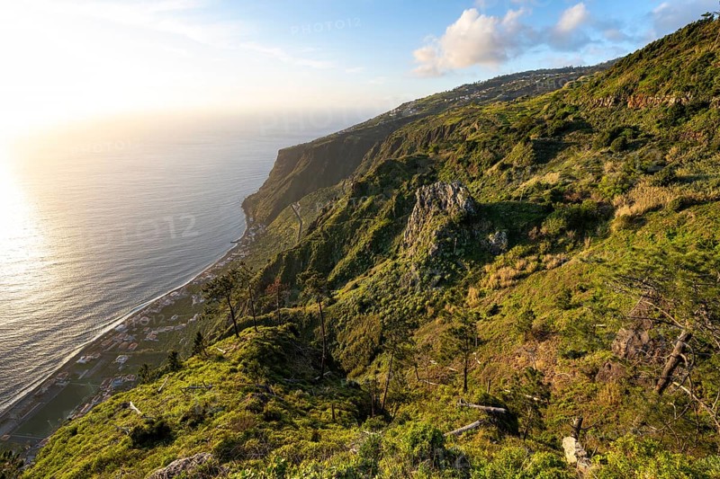 Evening mood, green coastal landscape on a steep cliff, sea and coast, viewpoint Miradouro da Raposeira, Paul do Mar, Madeira, Portugal, Europe