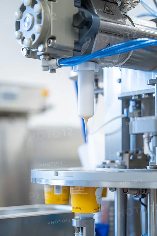 Machine fills white yoghurt into cups on a production line, ice cream production Haselstaller Hof, Calw district, Black Forest, Germany, Europe
