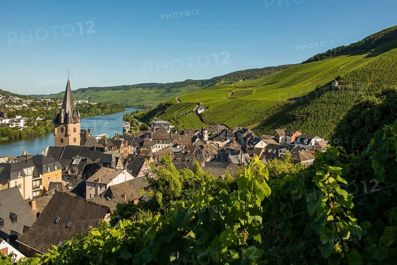 Picturesque village by the river and in the vineyards, Bernkastel-Kues, Moselle, Rhineland-Palatinate, Germany, Europe