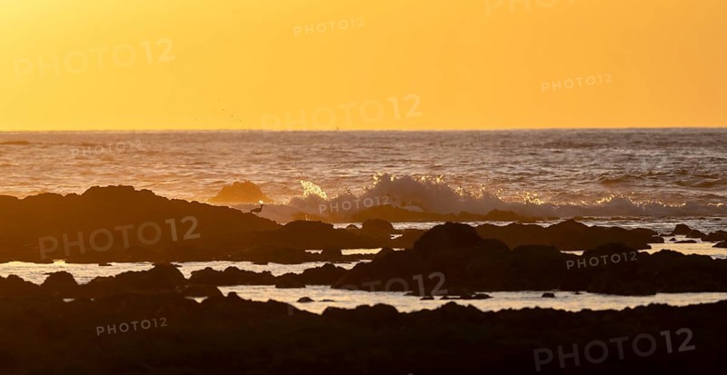 Evening mood, Marino Ballena National Park, coast with waves, South Pacific Ocean, Puntarenas Province, Osa, Costa Rica, Central America