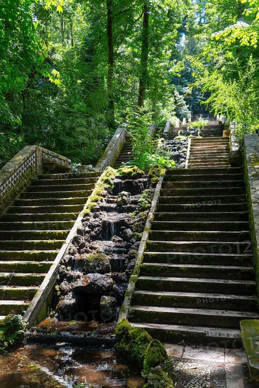 Moosbedeckte Steintreppe mit Wasser, umgeben von üppiger grüner Vegetation und Bäumen im Wald, Quelle Fonte Fría, Fonta Fria, Mata Nacional do Buçaco, National-Wald von Bussaco, Bucaco, Mealhada, Beira Litoral, Portugal, Europe