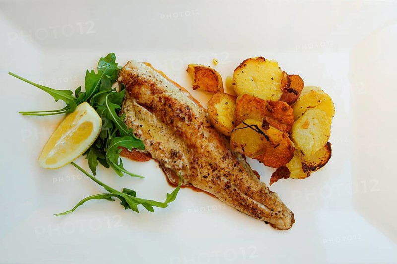 Mediterranean cuisine, fried pike-perch fillet, roast potatoes, fried potatoes, rocket salad, lemon wedge, plate, served, fish dish, food photography, studio, Germany, Europe