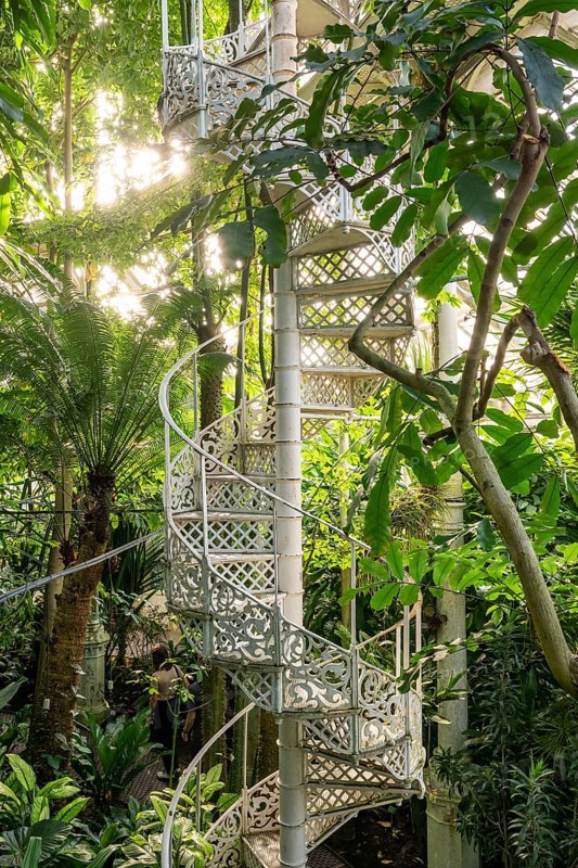 Decorative cast iron spiral staircase surrounded by tropical plants, historic greenhouse, palm house, Botanical Garden or Botanisk Have, University, Copenhagen, Denmark, Europe