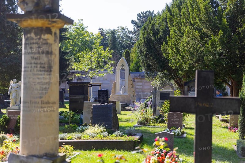 A new monument can be seen at Caspar David Friedrich's grave in Dresden's Trinitatisfriedhof cemetery to mark the 250th birthday of the most famous Romantic artist. The Gothic church window made of sandstone with an owl in rear view on the ledge. The construction was supported by the actor and Friedrich admirer Tom Pauls, Grave of Caspar David Friedrich, Dresden, Saxony, Germany, Europe