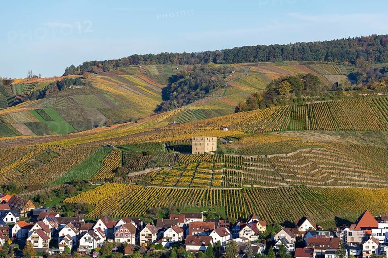 Landscape with vineyards in autumn, a small village lies at the foot of the hills, Y-Burg, Stetten, Remstal, Baden-Württemberg, Germany, Europe