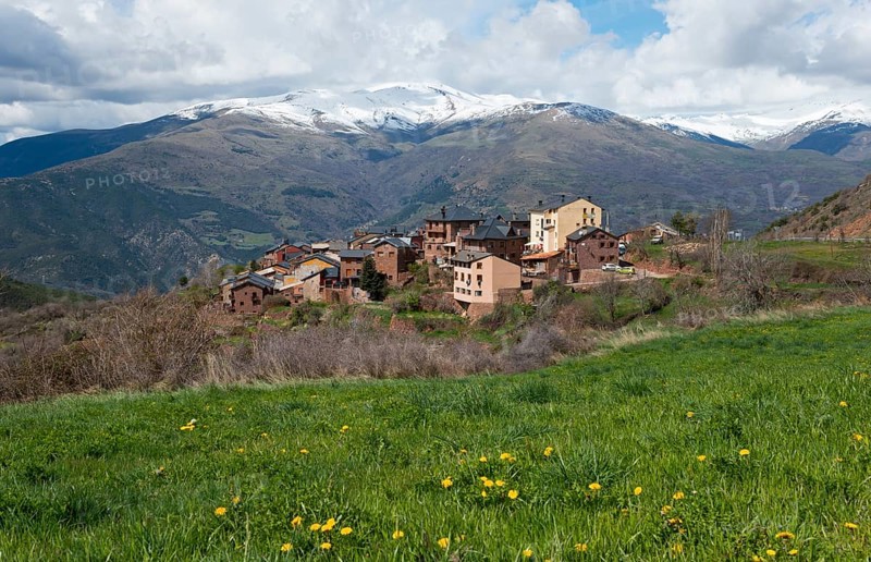 Small mountain village in front of snow-capped mountains, surrounded by green meadow and blooming flowers under a cloudy sky, Vilamur, Lleida province, Catalonia, Spain, Europe