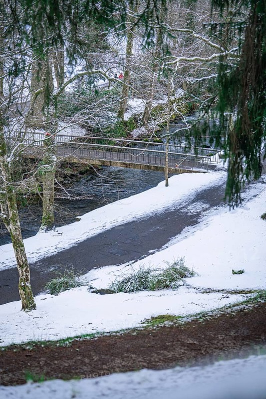 Snowy landscape with a wooden bridge over a river, embedded in a wintry forest, spa gardens, Bad Wildbad, Black Forest, Germany, Europe