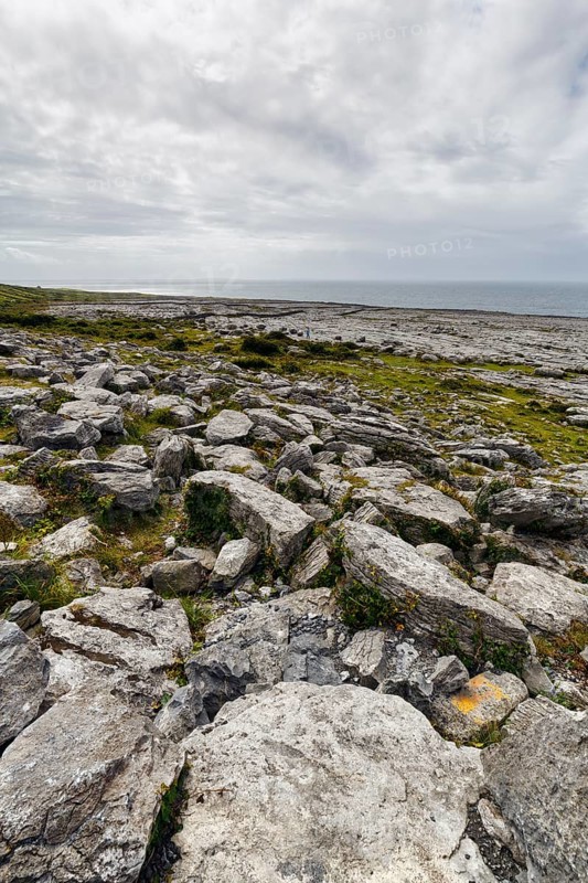 Bizarrely shaped limestone slabs, hiking trail along the coastline, limestone coast of the Burren, Murrooghtoohy viewpoint, County Clare, Wild Atlantic Way, Atlantic Ocean, Ireland, Europe