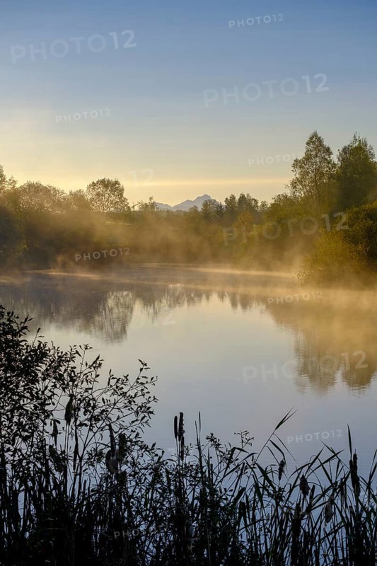 Sunrise with fog, Mühlweiher at Reutberg Monastery, Sachsenkam, Tölzer Land, Alpine foothills, Upper Bavaria, Bavaria, Germany, Europe