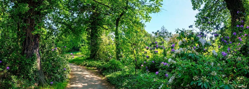 Dessau-Wörlitz Garden Kingdom, Wörlitz Park, UNESCO World Heritage Garden Kingdom of Dessau-Wörlitz, Dessau, Saxony-Anhalt, Germany, Europe