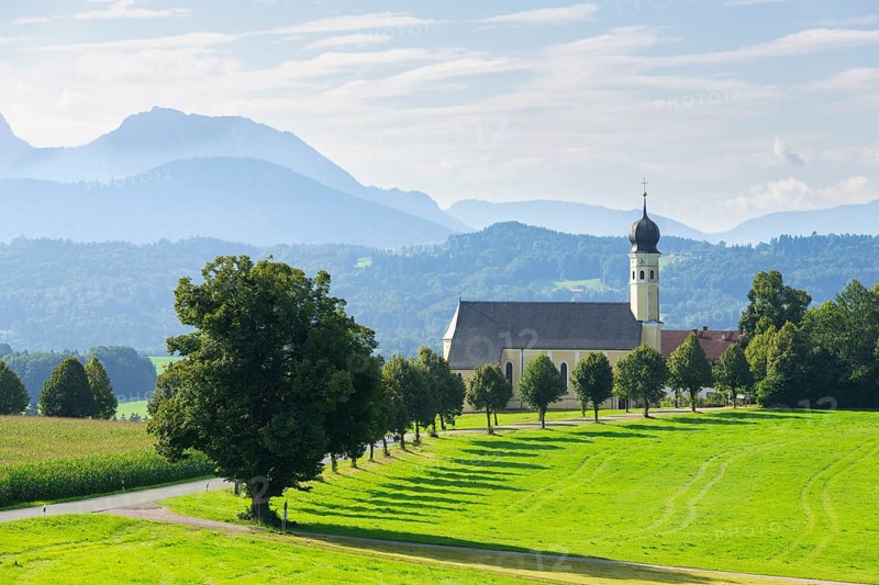 Pilgrimage church of St Marinus in Wilparting, cornfield, avenue, meadow, municipality of Irschenberg, Oberland, Upper Bavaria, Bavaria, Germany, Europe
